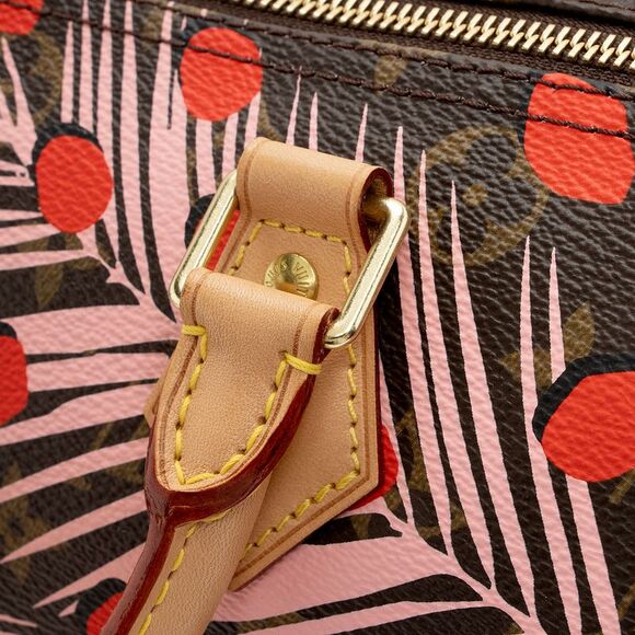 Louis Vuitton Limited Edition Monogram Canvas Jungle Dots Speedy 30 Satchel - Picture 16 of 16